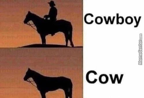 Cowboy
Cow
