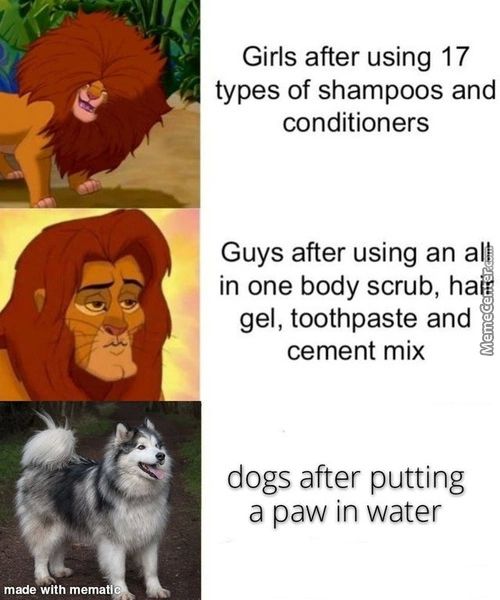 Girls After Using 17
Types Of Shampoos And
Conditioners
Guys After Using An A
In One Body Scrub, Ha
Gel, Toothpaste And
Cement Mix
Dogs After Putting
A Paw In Water
Made With Mema
