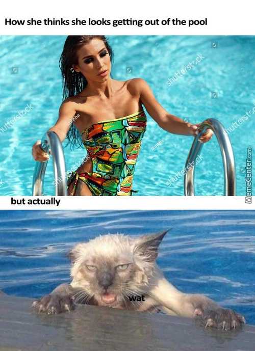 How She Thinks She Looks Getting Out Of The Pool
But Actually
