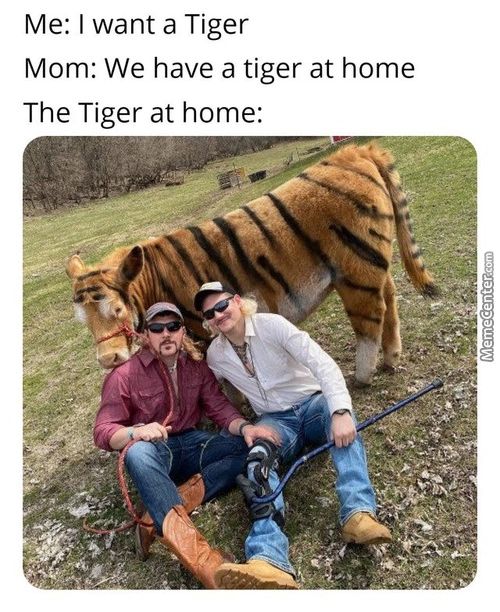 Me: I Want A Tiger
Mom: We Have A Tiger At Home
The Tiger At Home:
