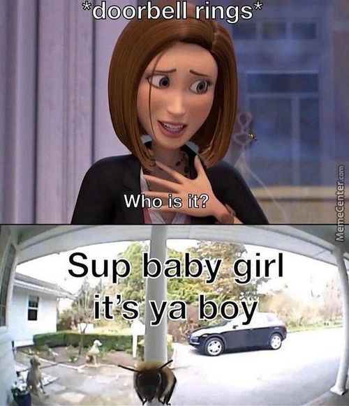 Dodrbelbrings*
Who Is It?
Sup Baby-girl
€ßit'S Yat Boy
