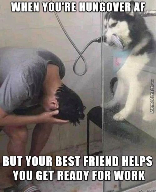 WHEN YOU'RE
BUT YOUR BEST FRIEND HELPS
YOU GET READY FOR WORK
