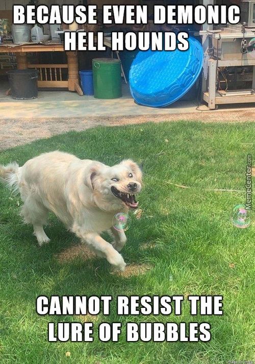 BECAUSE EVEN DEMoncI
- HELLHOUNDS
CANNOT RESIST THE
LUiE OF BUBBLES
