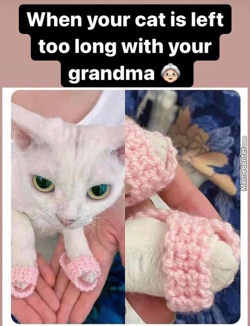 When Your Cat Is Left
Too Long With Your
Grandma
