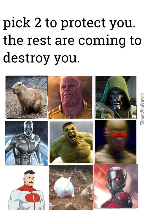 Pick 2 To Protect You.
The Rest Are Coming To
Destroy You.
