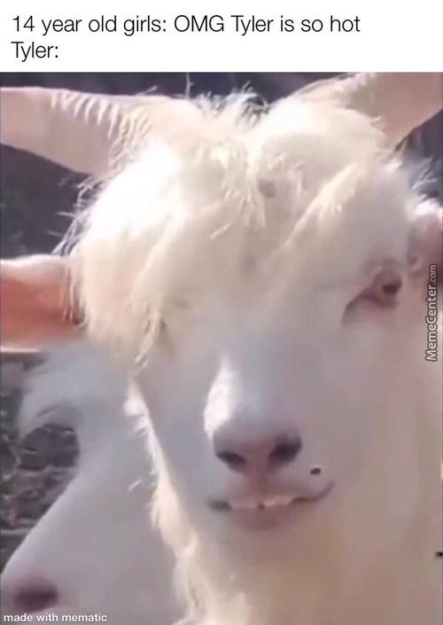 14 Year Old Girls: OMG Tyler Is So Hot
Tyler:
Hwmatic
