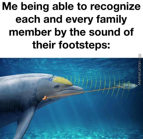 Me Being Able To Recognize
Each And Every Family
Member By The Sound Of
Their Footsteps:
