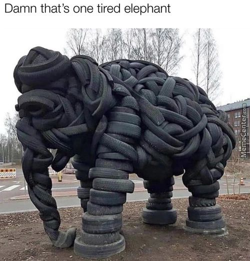 Damn That's One Tired Elephant
