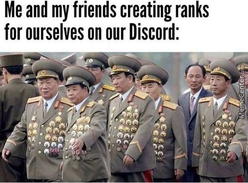 Me And My Friends Creating Ranks
For Ourselves On Our Discord:
