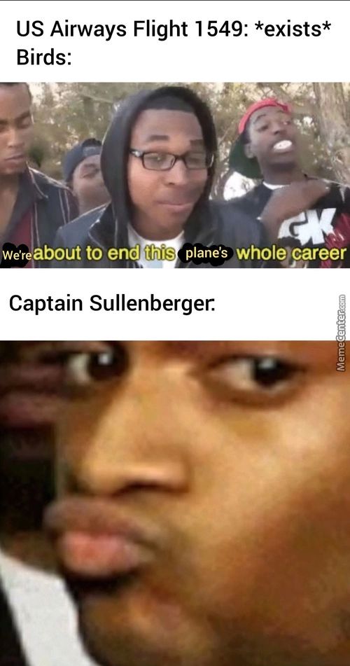 US Airways Flight 1 549: *exists*
Birds:
About To End This Plane's Wholecareer
Captain Sullenberger.

