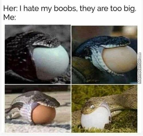 Her: I Hate My Boobs, They Are Too Big.

