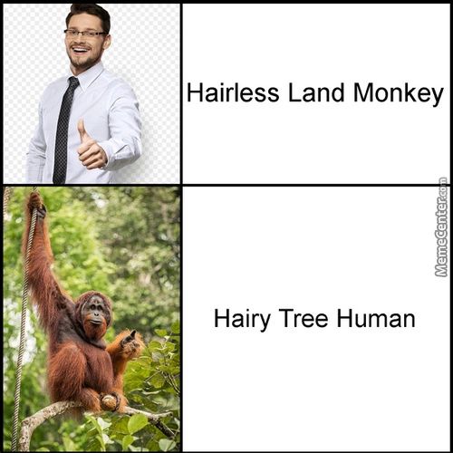 Hairless Land Monkey
Hairy Tree Human
