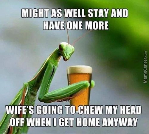 AS WELL STAY AND
MORE
WIFE'STOING TO-CHEW MY HEAD
OFF WHEN I GET HOME ANYWAY
