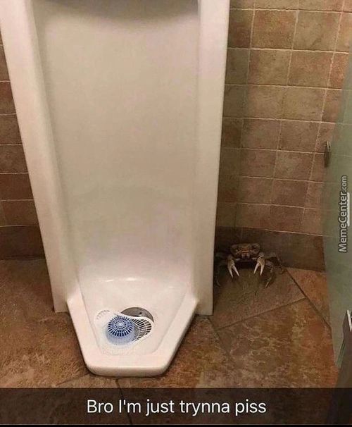 Bro I'm Just Trynna Piss
