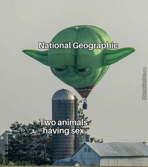 National Geograohic
Two Animäls
. •»having Sex
