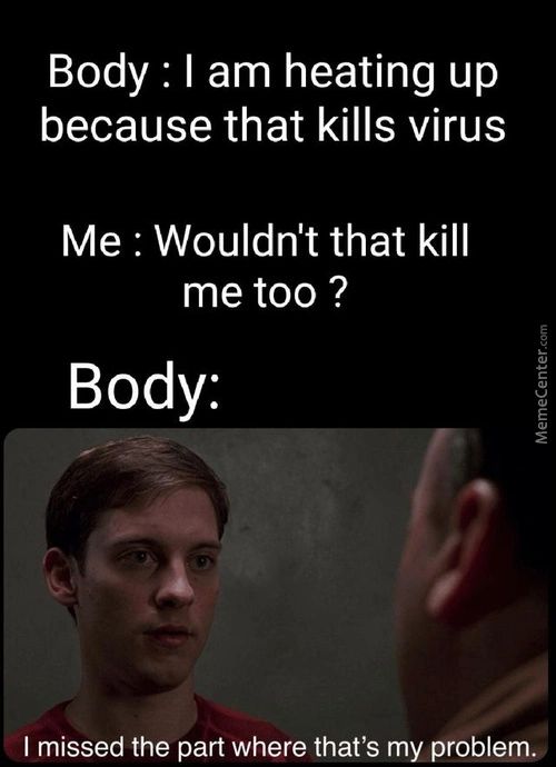 Body : I Am Heating Up
Because That Kills Virus
Me : Wouldn't That Kill
Me Too ?
Body:
I Missed The Part Where That's My Problem.
