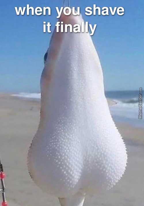 When You Shave
It Find'
