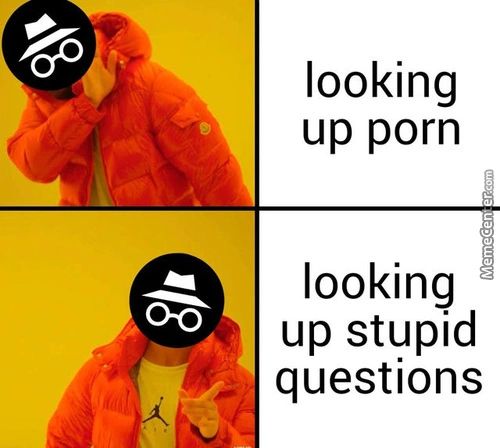 Looking
Up Porn
Looking
Up Stupid
Questions
