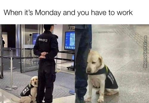 When It's Monday And You Have To Work
