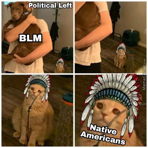 *plitical Left
BLM
Native
Americans

