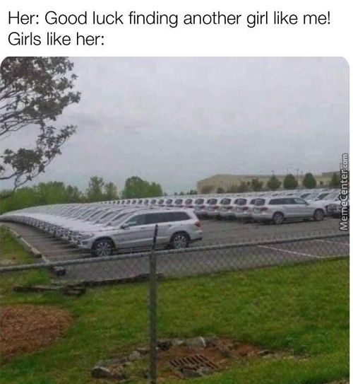 Her: Good Luck Finding Another Girl Like Me!
Girls Like Her:
