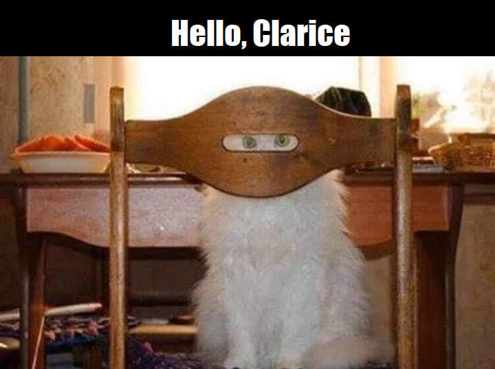 Hello, Clarice
