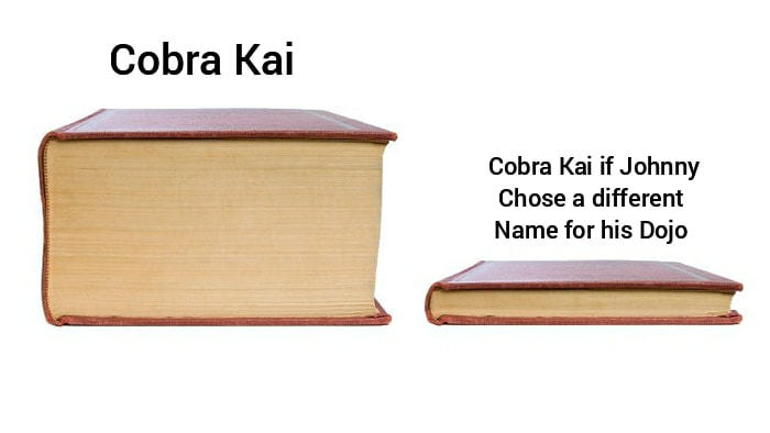 Cobra Kai
Cobra Kai If Johnny
Chose A Different
Name For His Dojo
