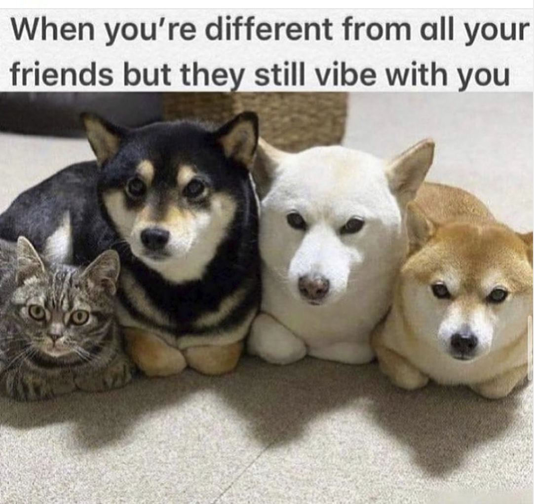 When You're Different From All Your
Friends But The Still Vibe With You
