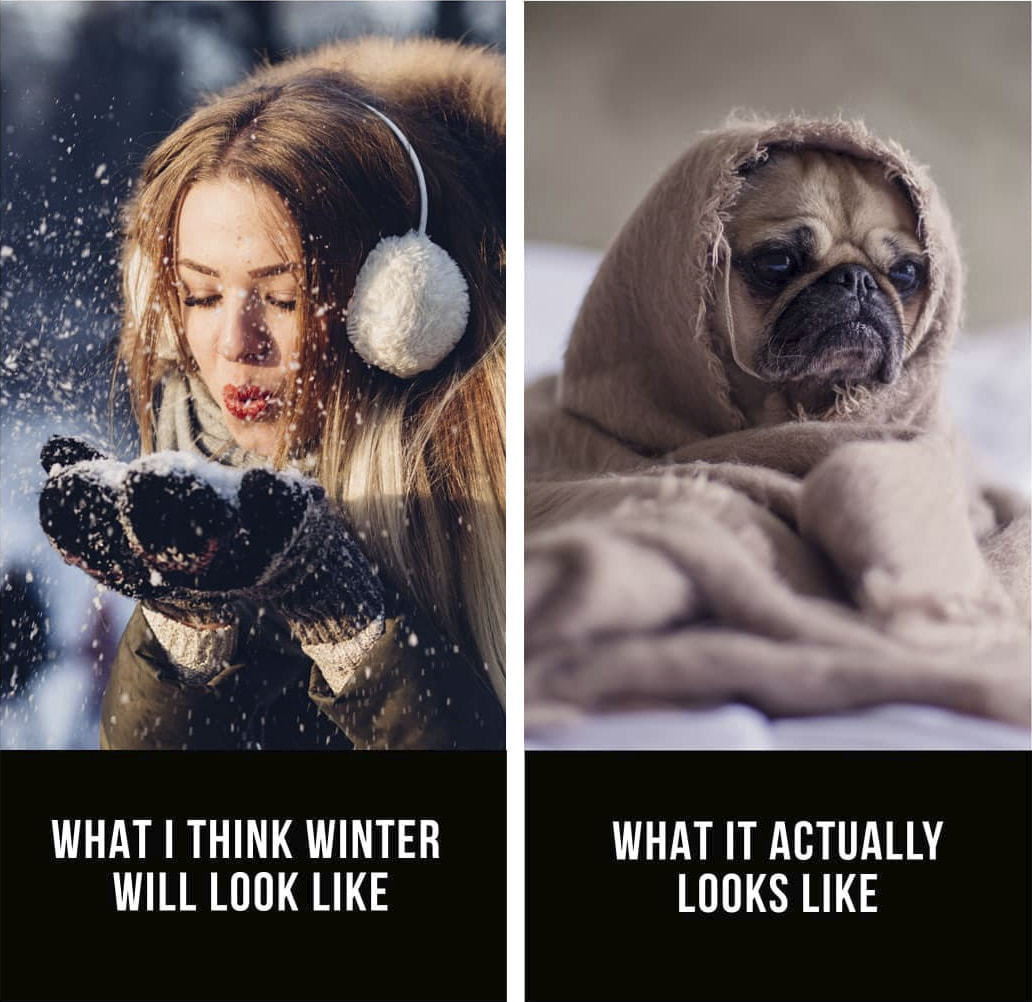 WHAT I THINK WINTER
WILL LOOK LIKE
WHAT IT ACTUALLY
LOOKS LIKE
