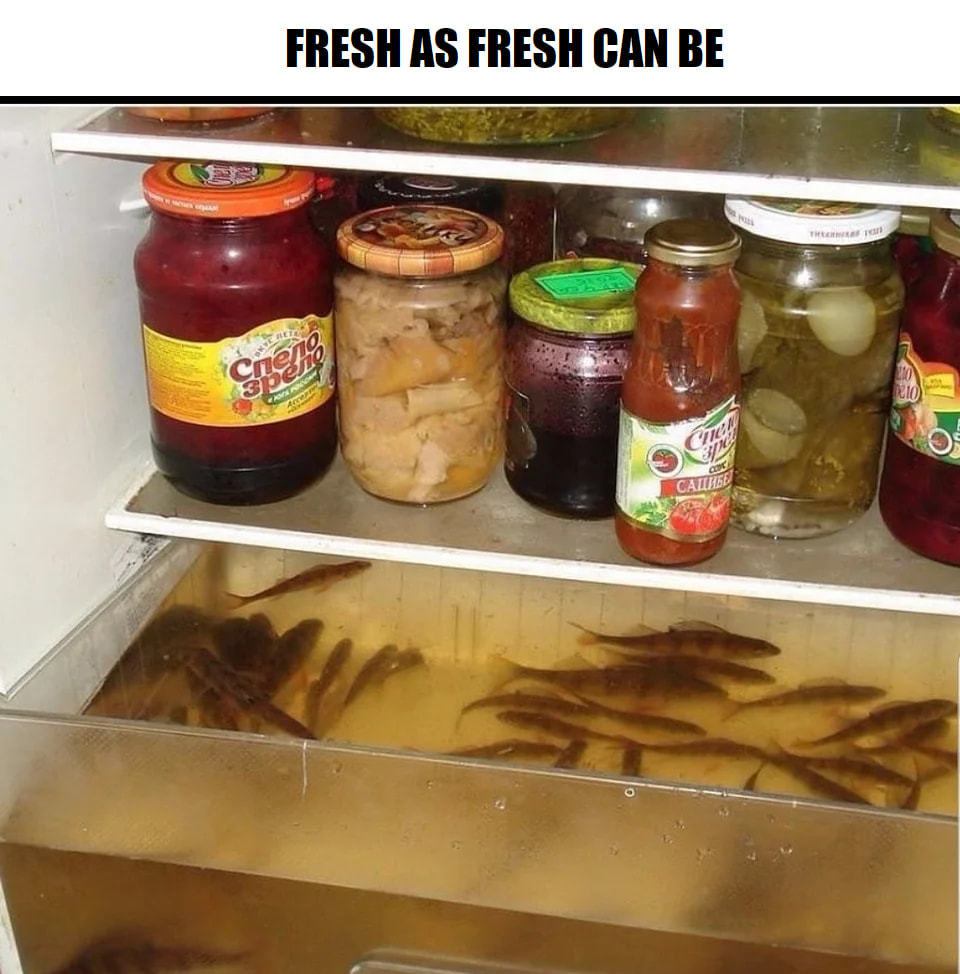 FRESH AS FRESH CAN BE
