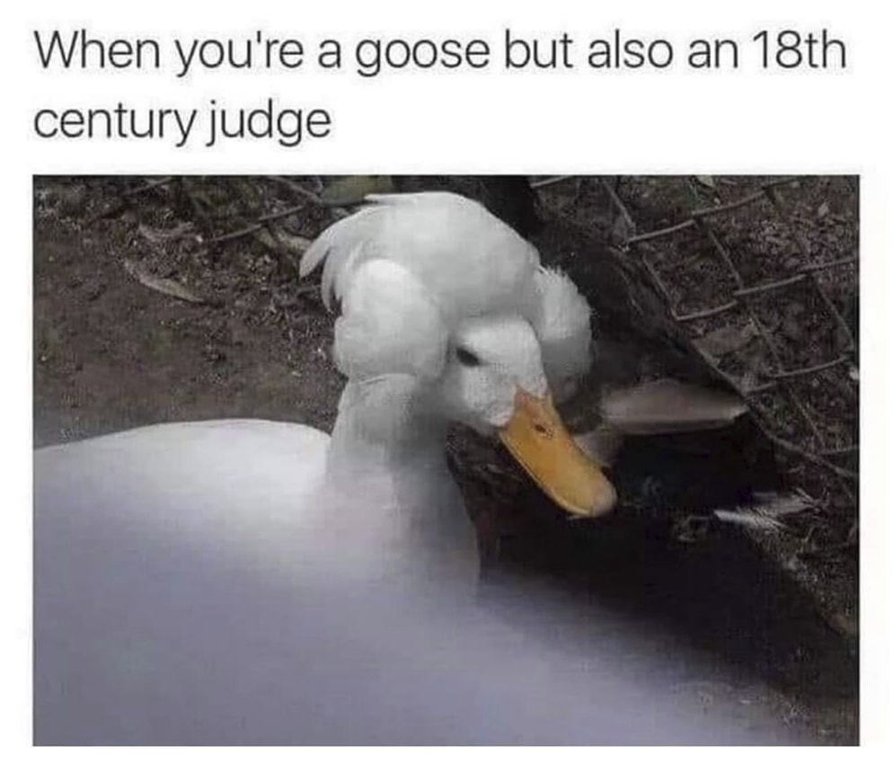 When You're A Goose But Also An 18th
Century Judge
