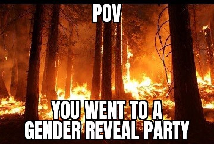 Pov
GENDERtREVEAVPARTY
