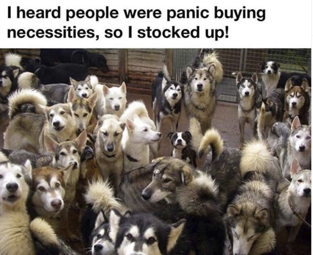 I Heard People Were Panic Buying
Necessities, So I Stocked Up!
