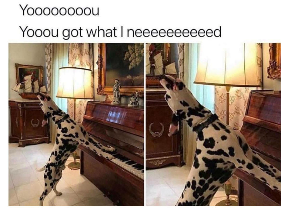 Yoooooooou
YOOOl-l Got What I Neeeeeeeeeed
