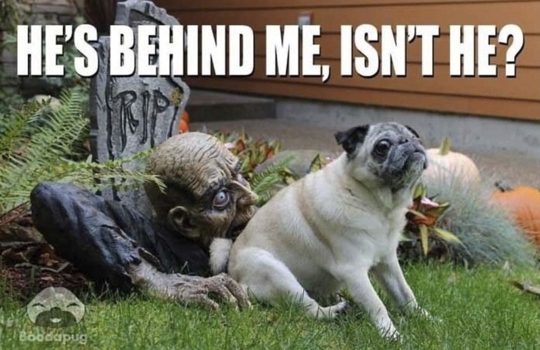 ME, ISN'T HE?
