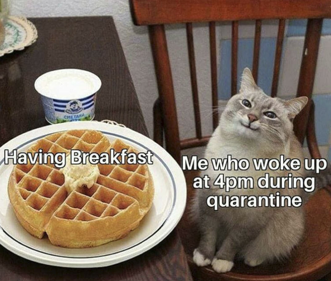 Having Breakfast Me Who Wqkqup
At During
Quarantine
