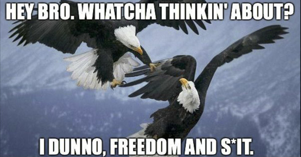 HEY.BRO. WHATCHA THINKIN' ABOUT?
I DUNNO, FREEDOM AND SIT.
