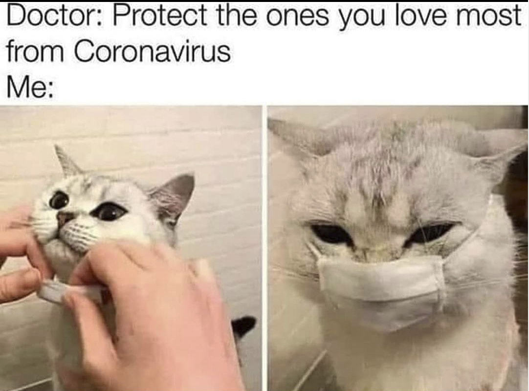 Doctor: Protect The Ones You Love Most
From Coronavirus
