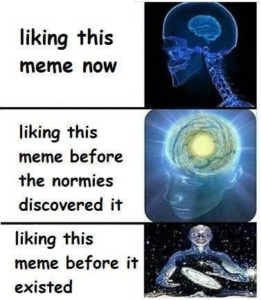 Liking This
Meme Now
Liking This
Meme Before
The Normies
Discovered It
Liking This
Meme Before It
Existed
