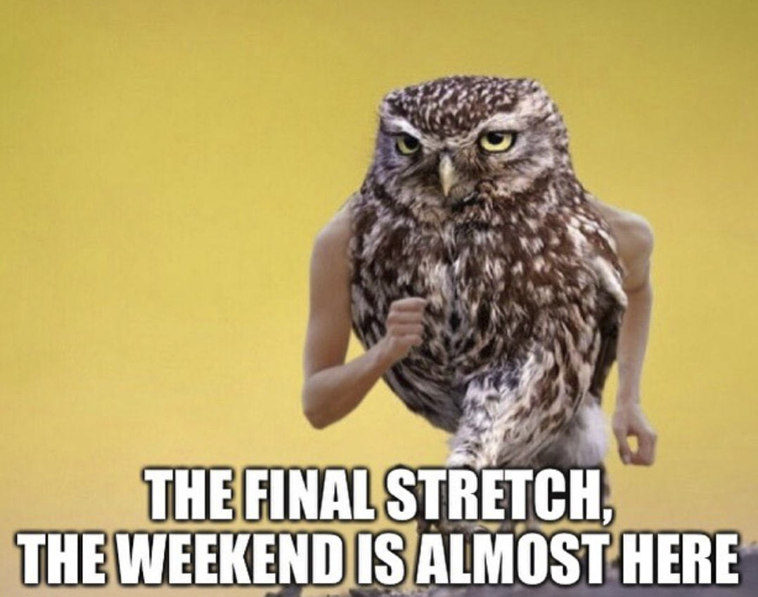 THE FINAL STRETCH,
THE WEEKEND IS ALMOST HERE
