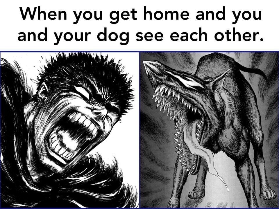 When You Get Home And You
And Your Dog See Each Other.
