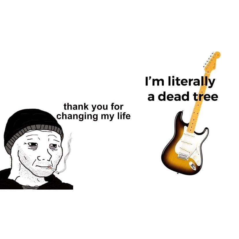I'm Literally
A Dead Tree
Thank You For
Changing My Life
