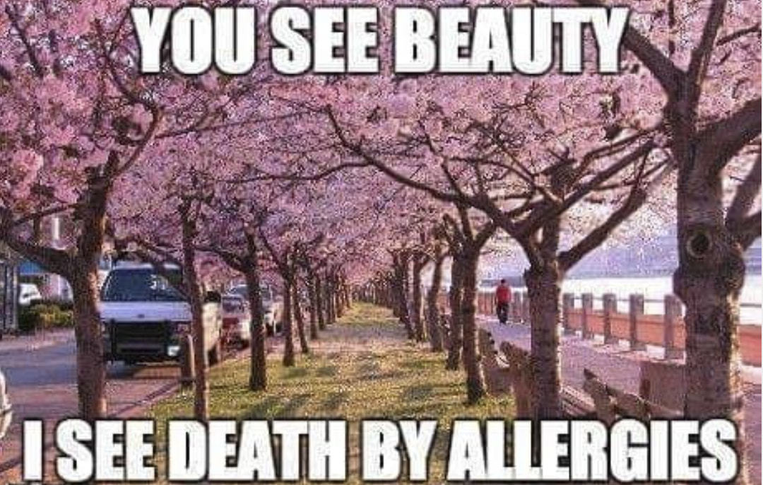 YOUJSEE
I SEE
