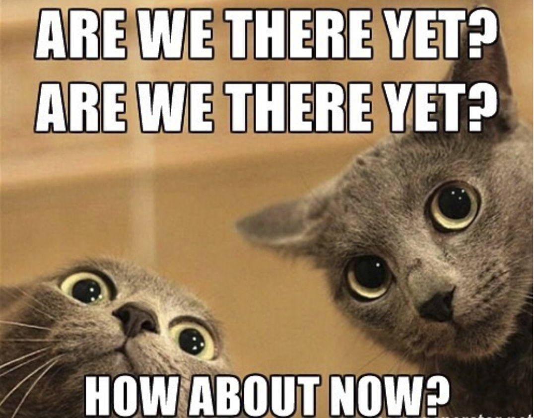 ARE WE THERE
HOWABOUT NOW?
