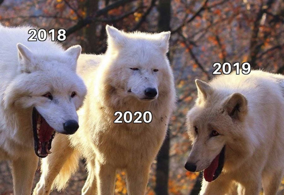 2018
2019
2020
