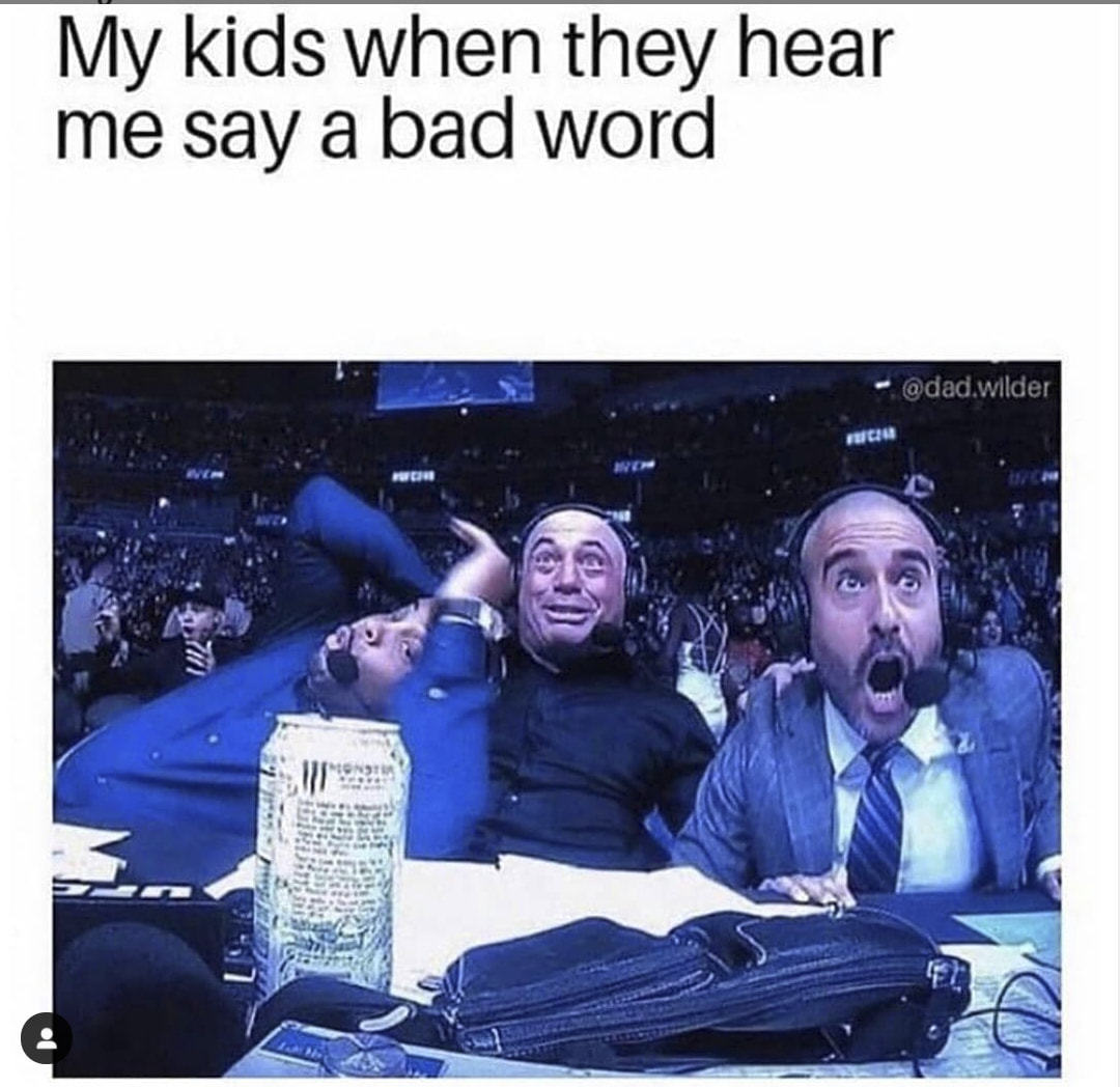 My Kids When They Hear
Me Say A Bad Word
@dad.wilder
