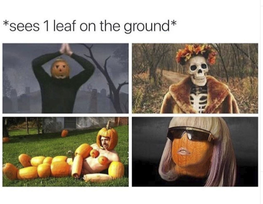 *sees 1 Leaf On The Ground*
