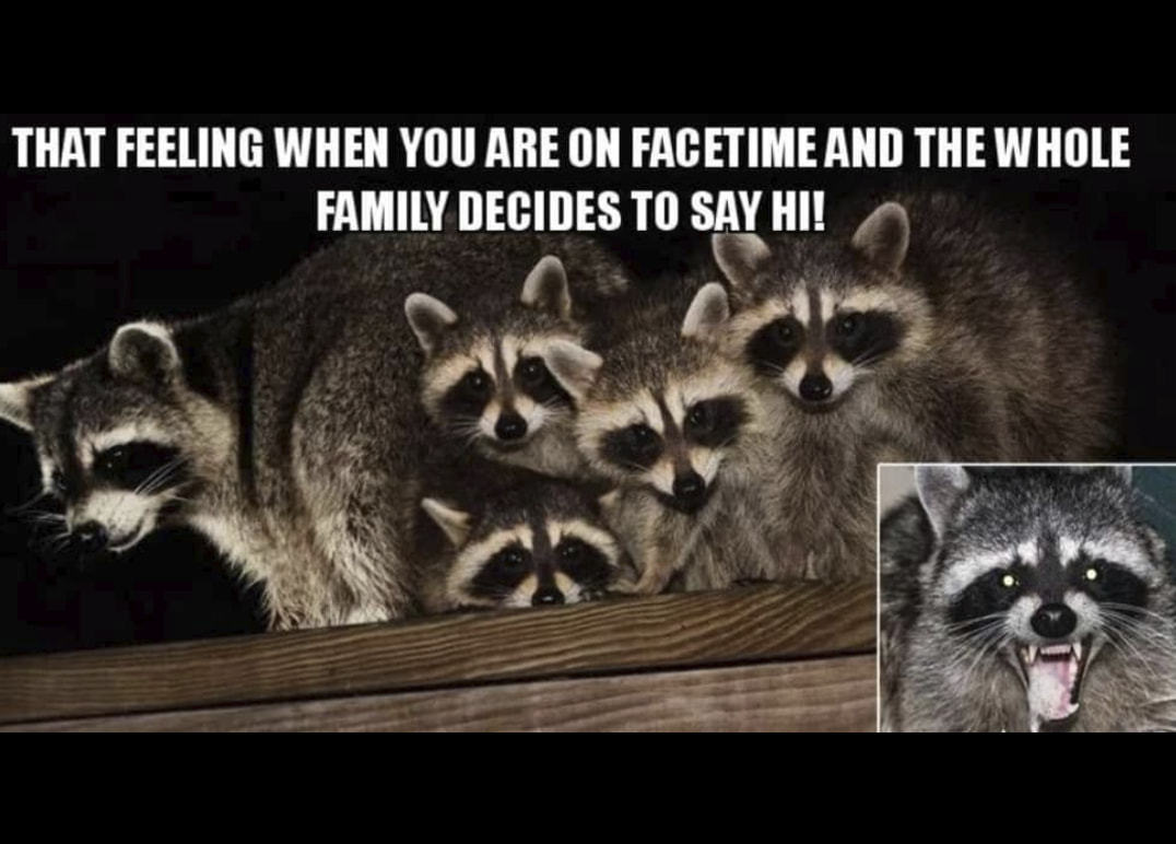 THAT FEELING WHEN YOU ARE 0N FACETIMEAND THE WHOLE
FAMILY DECIDES TO SAY HI!
