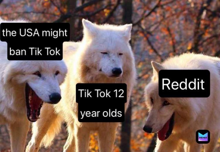 The USA Might
Ban Tik Tok
Tik Tok 12
Year Olds
Reddit
