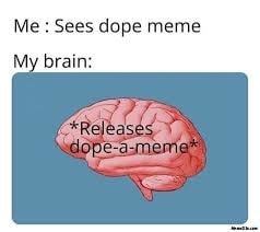 Me : Sees Dope Meme
M Brain:
